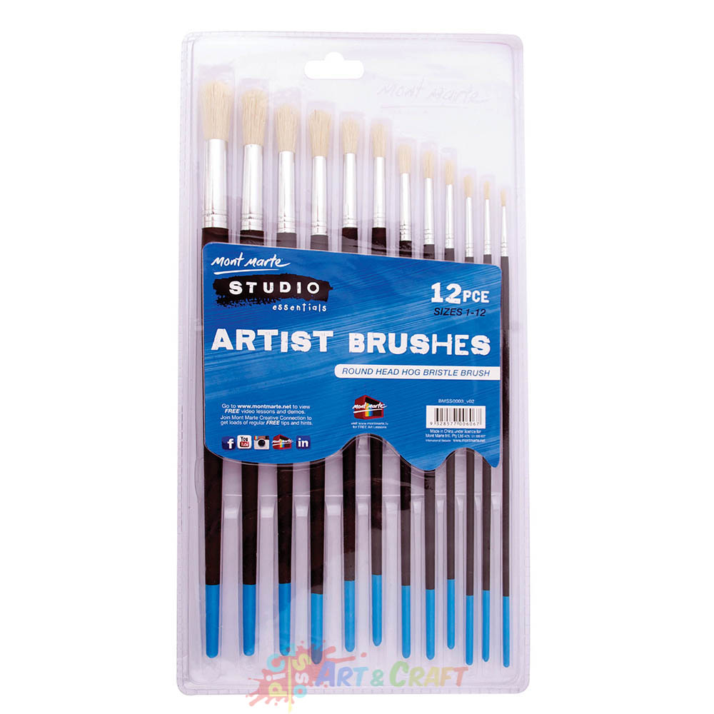 Studio Artist Brushes 12pce Round 112 Picasso Art & Craft