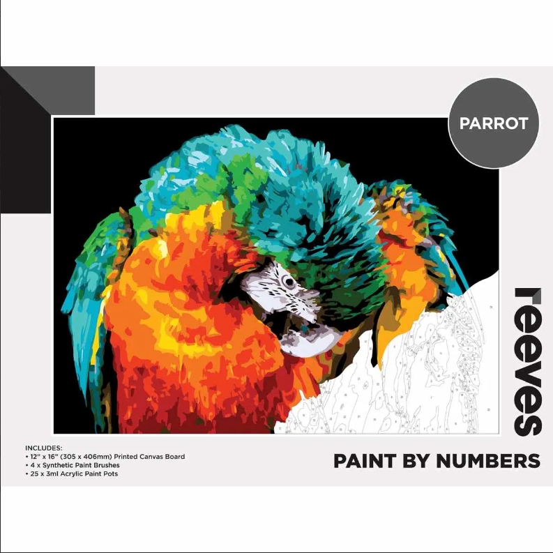 Reeves Artist Acrylic Paint by Numbers Parrot Picasso Art & Craft