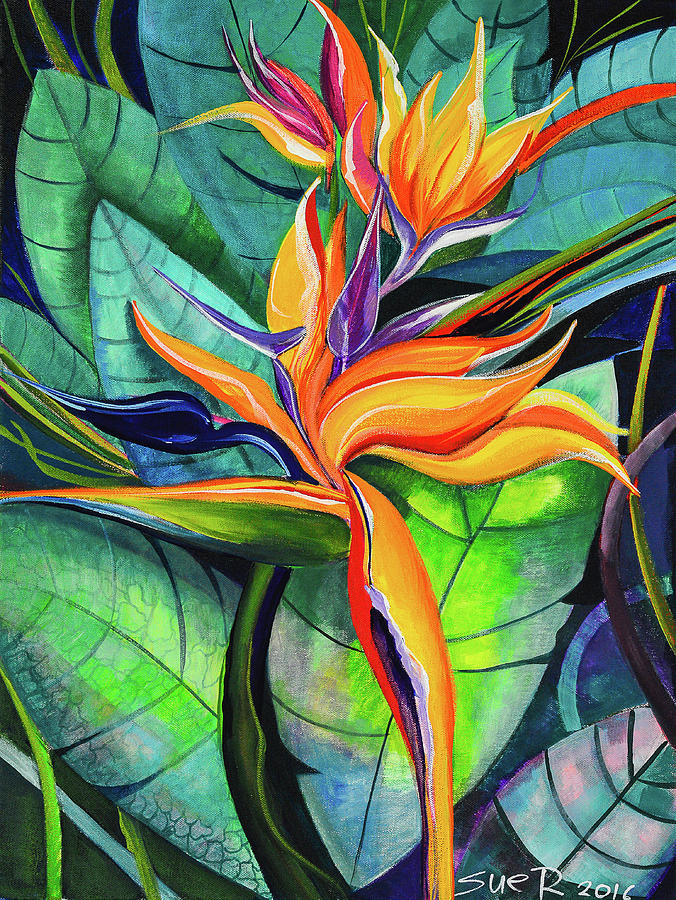 strelitzia-susan-robinson